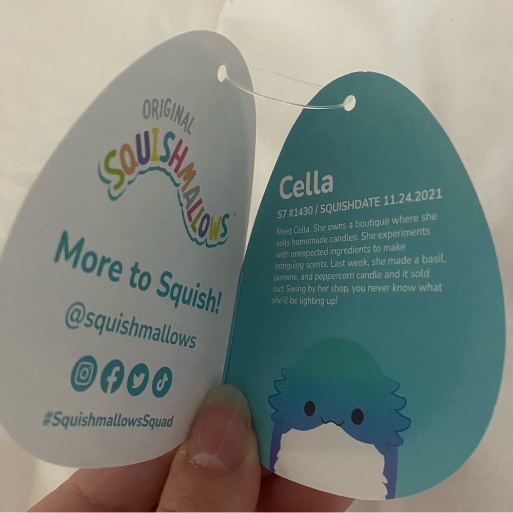 cella squishmallow ๐๐ - Picture 7 of 7
